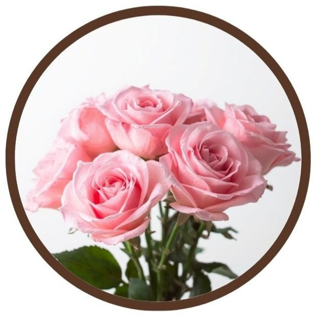 Aroma Ramo de Rosas Dulfuret