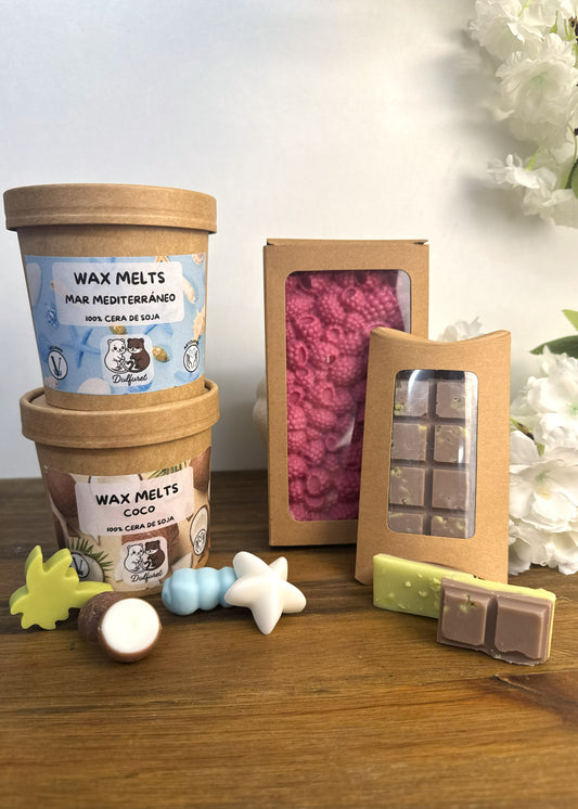 PACK WAX MELTS VERANO