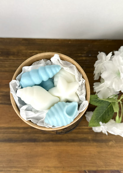 Wax Melt Mar Mediterraneo Vision des de arriba Dulfuret