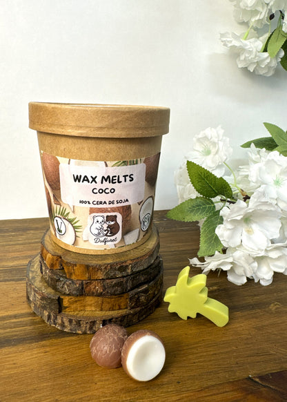 Wax Melt de Coco Vista Frontal tapa cerrada Dulfuret
