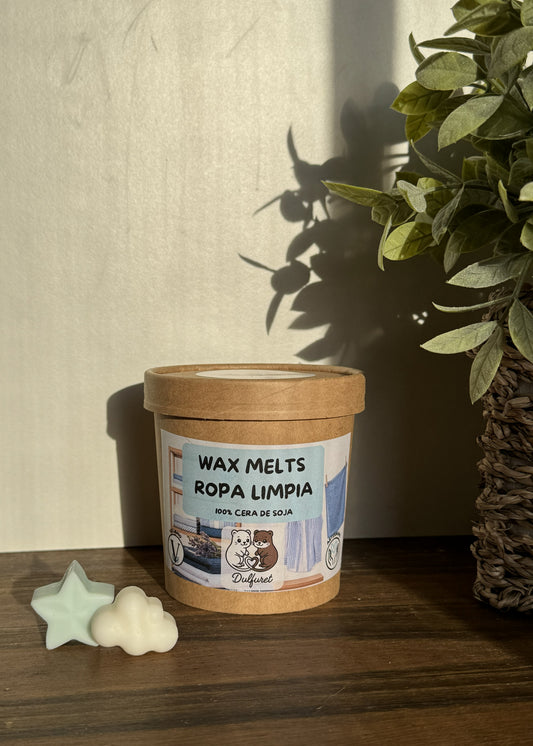 Wax melt ropa limpia vision frontal | Wax Melt ropa limpia | Dulfuret